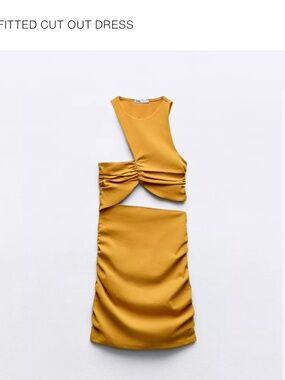 Zara.Dress